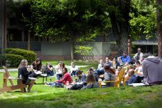 Law students on the quad