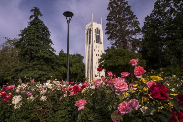 University of the Pacific campus