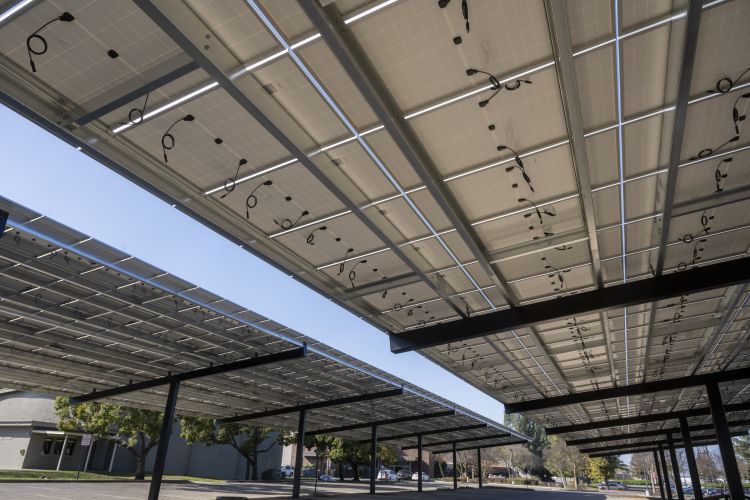 solar canopies