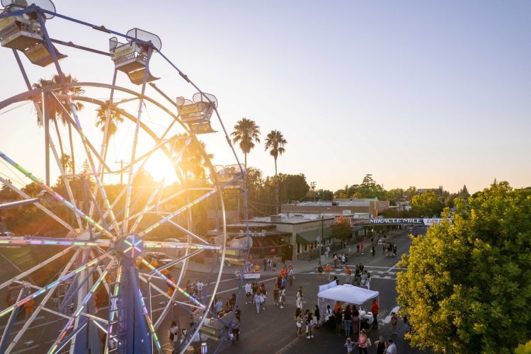 ferris wheel 