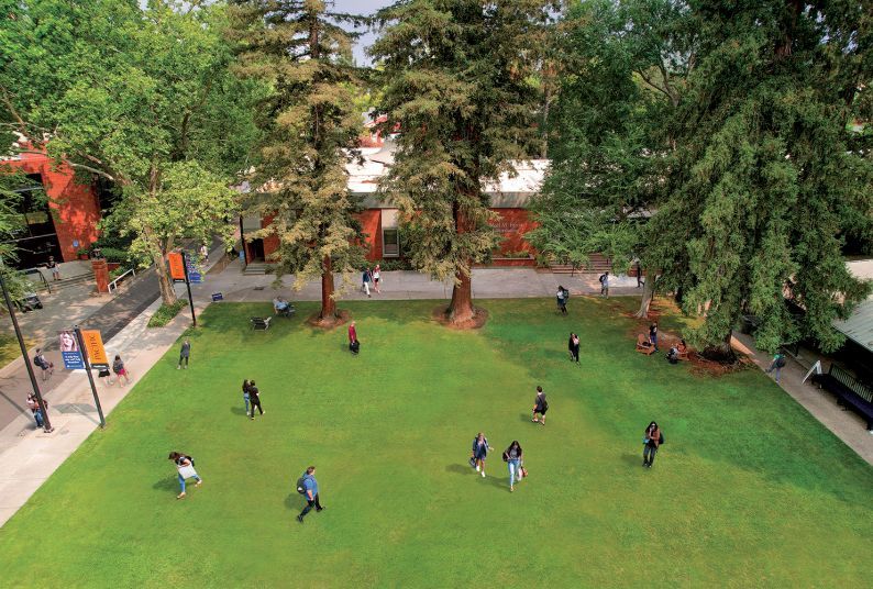 An aerial view of the Sacramento campus quad. Approximately 20 students are pictured in various locations on the quad. Lots of greenery and trees are visible. 