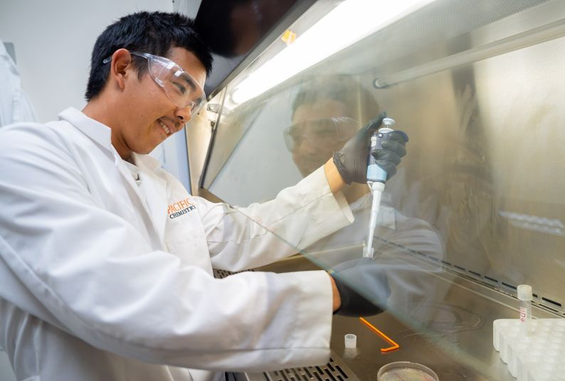 a student conducts research in the lab