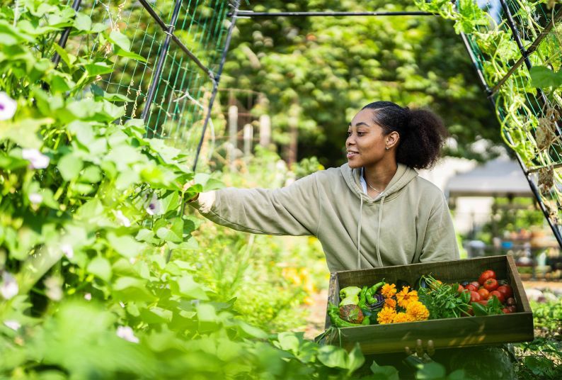 University of the Pacific has moved closer to its goal of a gold rating for sustainability.