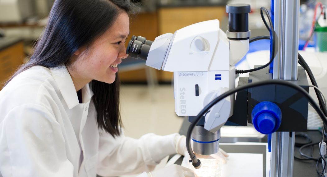 biology student using microscope