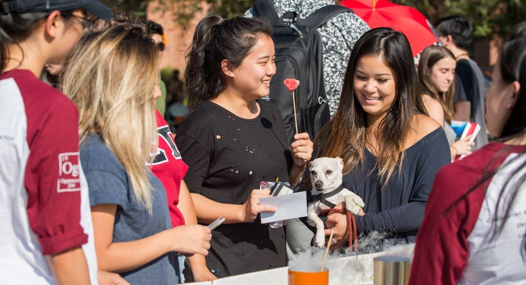 Students at a club fair