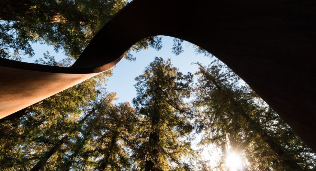 Among the trees of the Redwood Grove is one of UOP's most interesting sculptures. The Möbius Strip was built as a memorial for several members of the Pacific community who had passed away unexpectedly. Today its flame-like shape serves as a symbolic eternal flame to honor the memory of all Pacific community members who have passed away.