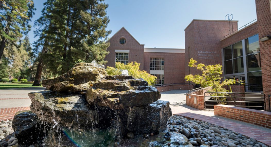 Library entrance view from the fountain