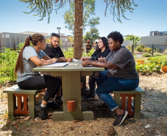 students sitting in Robb Garden