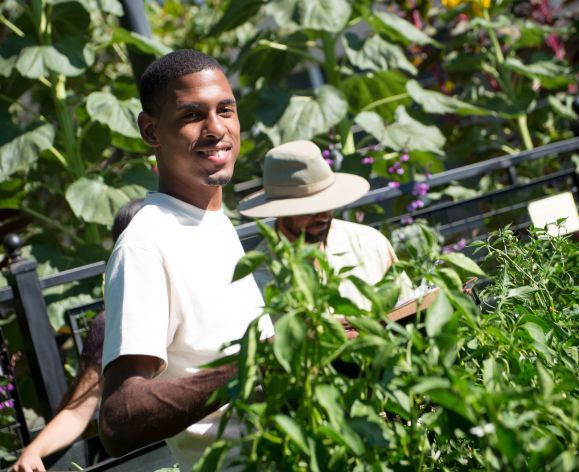 student picking vegetables