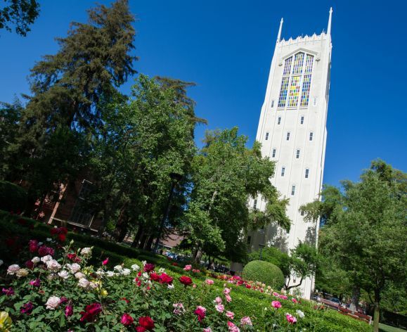 Burns Tower foregrounded by roses