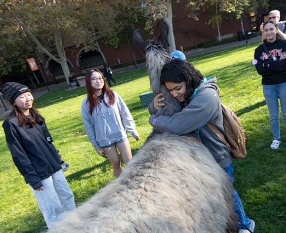 student hugs a llama while other students watch