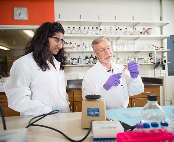 Student and faculty conducting research in the lab